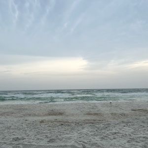 Meet your Posher, Gracie